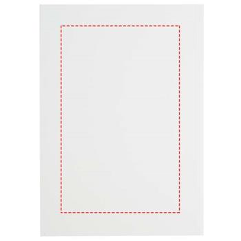 contraportada