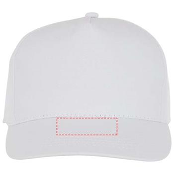 visera