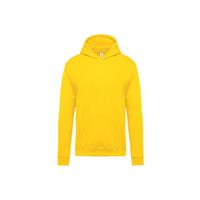 Sudadera capucha infantil