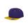 Gorra classic  bicolor snapback