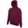 Sudadera classic capucha  (62-208-0)