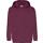 Sudadera classic capucha niños (62-043-0)