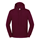 Sudadera con capucha iconic 250