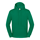Sudadera con capucha iconic 250