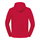 Sudadera con capucha iconic 250