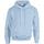 Sudadera heavy blend™ capucha