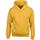 Sudadera heavy blend™ capucha niños