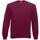 Sudadera manga raglán (62-216-0)
