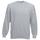 Sudadera manga raglán (62-216-0)