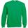 Sudadera manga raglán (62-216-0)