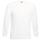 Sudadera manga raglán (62-216-0)