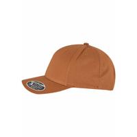 Gorra curved snapback