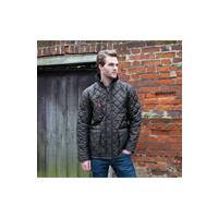 Chaqueta cheltenham gold