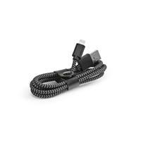 cables Bernoulli