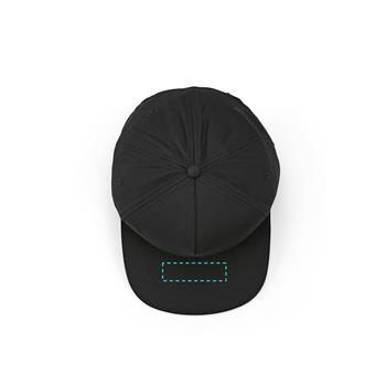 Visera
