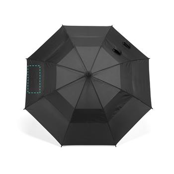 Panel 5