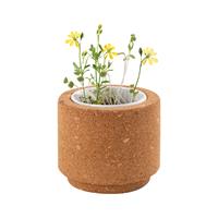 Maceta luwa