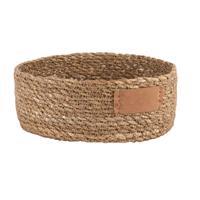 Cesta nori
