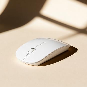 Ratón souris