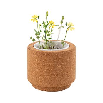 Maceta luwa