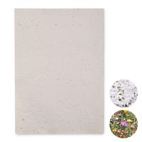 Hoja A4 de papel con semillas Asidi