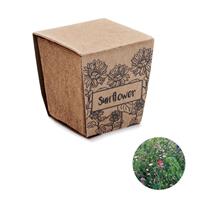 Kit de cultivo de girasoles Sunflower kit