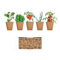 Kit de cultivo de verduras Salad