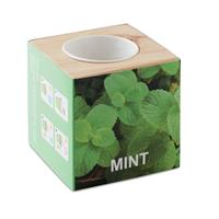 Maceta con semillas de menta Menta