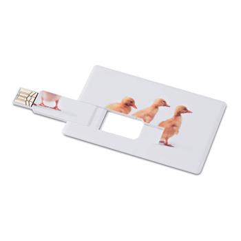 Memoria USB Memorama