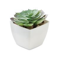 Mini planta artificial Artieche