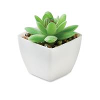 Mini planta artificial Artigrap