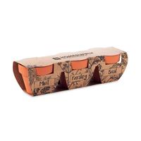 Juego de macetas de terracota Flowerpot