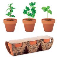 Juego de macetas de terracota Flowerpot