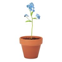 Juego de macetas de terracota Forget me not