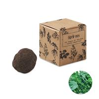 Kit de semillas de hierbas Bombi iii