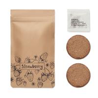Kit de cultivo de fresas Fresa kit
