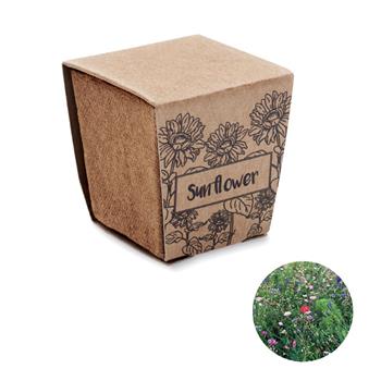 Kit de cultivo de girasoles Sunflower kit