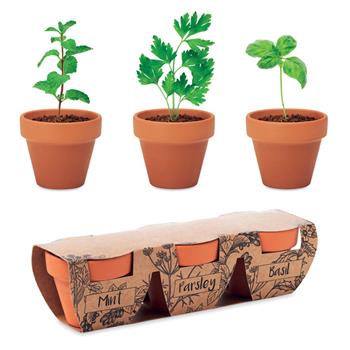 Juego de macetas de terracota Flowerpot