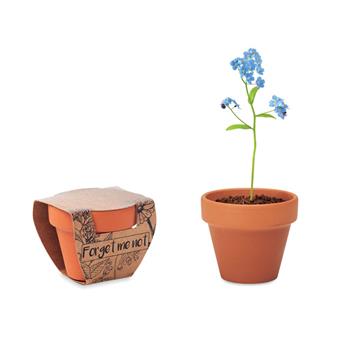 Juego de macetas de terracota Forget me not