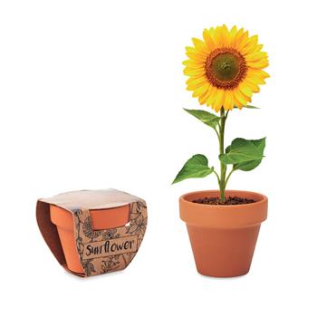 Juego de macetas de terracota Sunflower