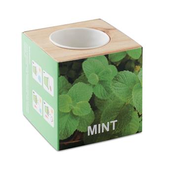 Maceta con semillas de menta Menta