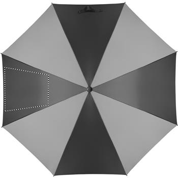 segmento 2