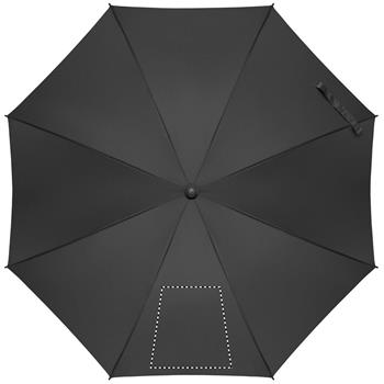 segmento 1