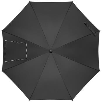 segmento 2