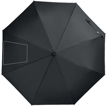 segmento 2