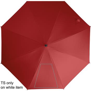 segmento 1