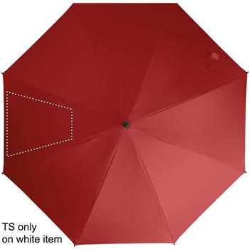 segmento 2