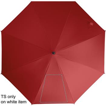 segmento 1