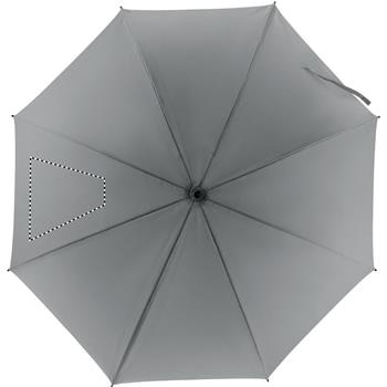 segmento 2