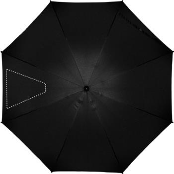 segmento 2